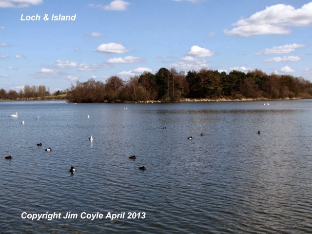 Hogganfield Loch