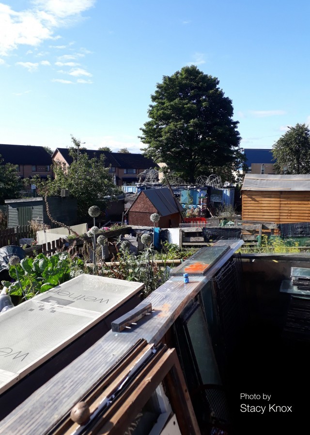 allotment_invite_front_cover32.jpg