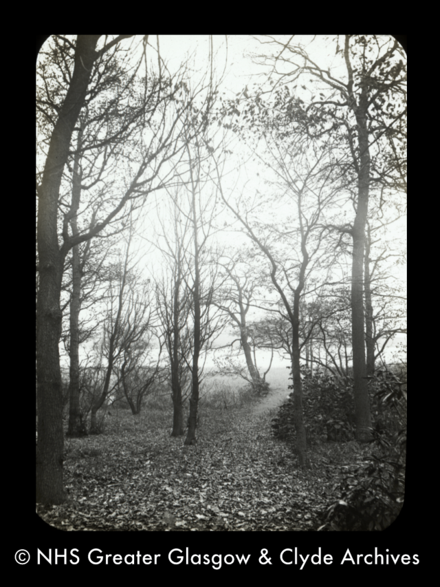 A Sense of Bishop Loch